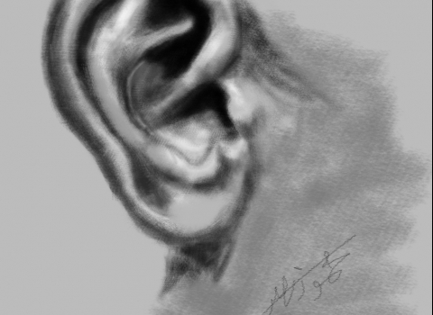 Ear study