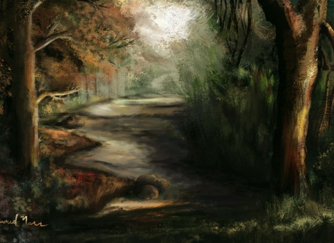 Landscape the tree road