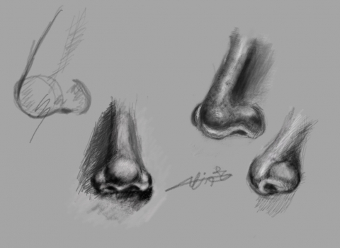 Nose Study